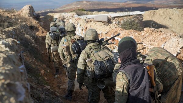 Zeytin Dalı Harekatı'nda Afrin'in kuzeydoğusundaki stratejik Burseya Dağı ele geçirildi. - Sputnik Türkiye