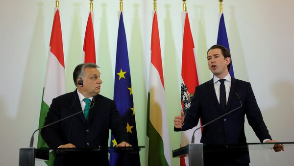 Macaristan Başbakanı Viktor Orban ile Avusturya Başbakanı Sebastian Kurz - Sputnik Türkiye