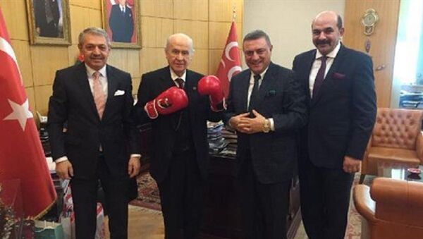 Devlet Bahçeli'den boks eldivenli poz - Sputnik Türkiye