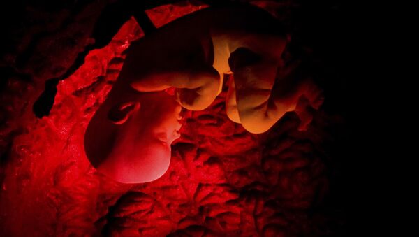 Üç boyutlu bir filmde insan embriyosu, Corpus Müzesi, Oegstgeest, Hollanda - Sputnik Türkiye