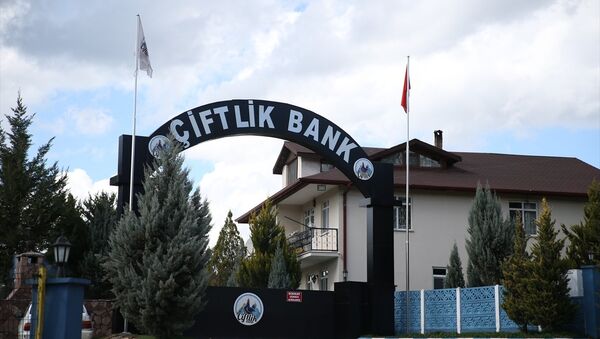 Çiftlik Bank - Sputnik Türkiye