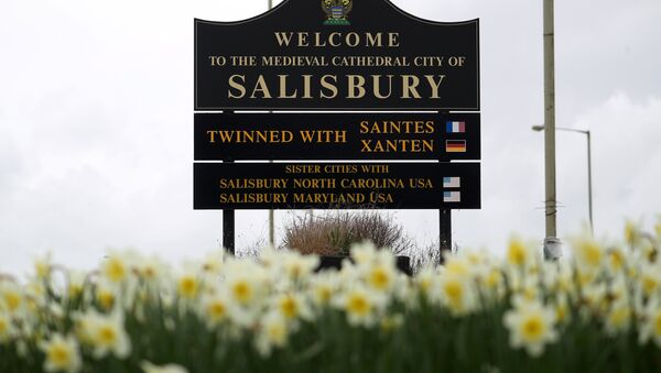 Salisbury hoşgeldin tabelası - Sputnik Türkiye