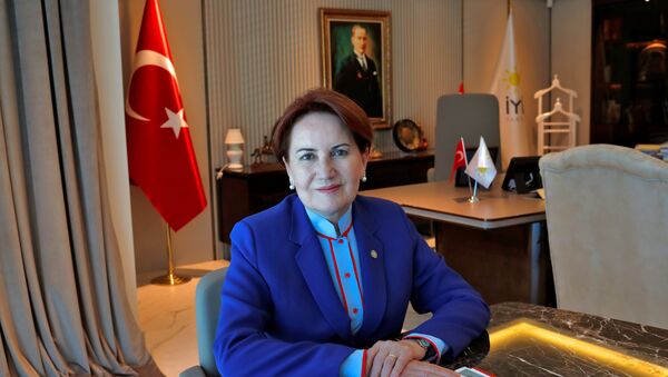 Meral Akşener - Sputnik Türkiye