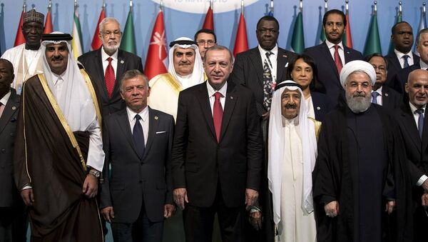 İslam İşbirliği Teşkilatı (İİT) İslam Zirvesi Konferansı - Sputnik Türkiye