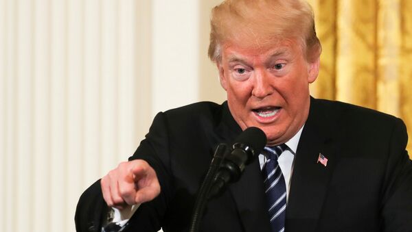 Donald Trump, Beyaz Saray'da basın toplantısı, Washington, 18 Mayıs 2018 - Sputnik Türkiye