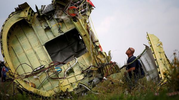 MH17 sefer sayılı yolcu uçağı - Sputnik Türkiye