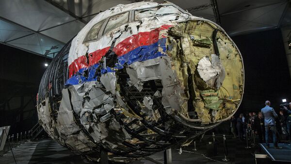 MH17 uçağının yeniden birleştirilen enkazı - Sputnik Türkiye