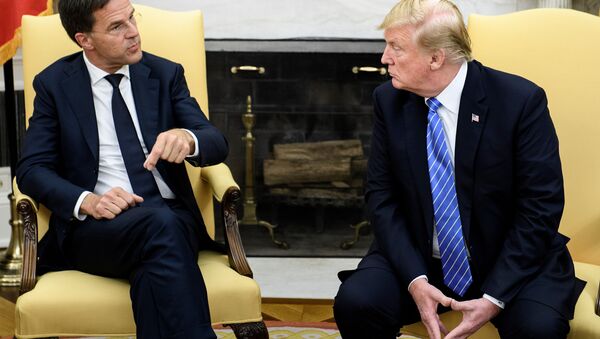 Beyaz Saray, Oval Ofis, Trump-Rutte görüşmesi - Sputnik Türkiye