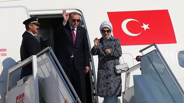Recep Tayyip Erdoğan, uçak - Sputnik Türkiye