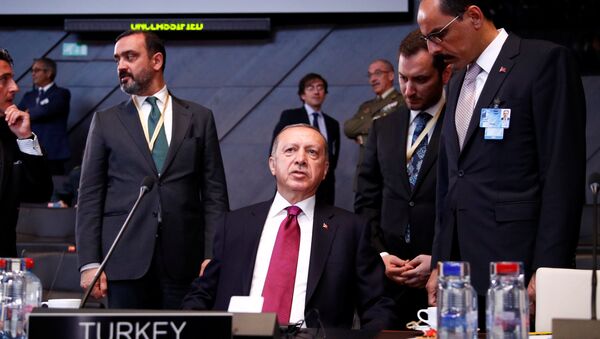 Türkiye Cumhurbaşkanı Recep Tayyip Erdoğan, NATO zirvesi için Brüksel'de - Sputnik Türkiye