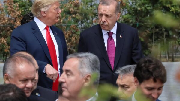 Cumhurbaşkanı Recep Tayyip Erdoğan-ABD Başkanı Donald Trump - Sputnik Türkiye