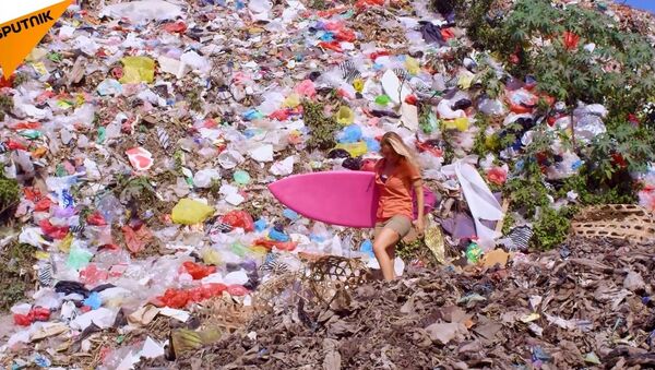Alison Teal plastik atıklarla savaşıyor - Sputnik Türkiye