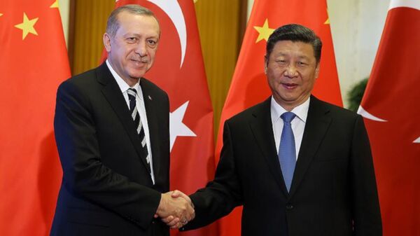 Cumhurbaşkanı Erdoğan, Çin Devlet Başkanı Şi ile bir araya geldi - Sputnik Türkiye