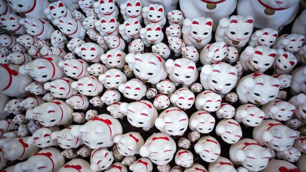 Patisi ile çağırma hareketi yapan yaklaşık 10.000 beyaz kedi heykeli Tokyo'daki Gotokuji tapınağının her yerine yayılmış durumda. Bu durum tapınağı hem Japonya içinden hem de ülke dışından sosyal medya meraklıları için bir çekim yeri haline getirmiş durumda.  Hong Kong'dan gelen 25 yaşındaki Emily Lin adlı turist Aslında Google'da 'Tokyo'daki Instagram mekanları' diye arama yaptım. Burasının adı Instagram fotoğrafları için en uygun yerler arasındaydı. Bu kediler Japon kültüründe iyi şansı sembolize ediyor diye konuştu. - Sputnik Türkiye