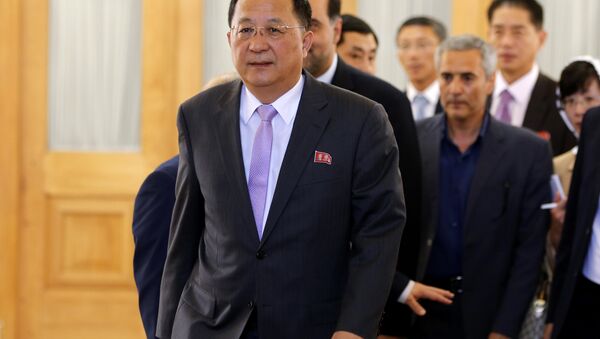 Kuzey Kore Dışişleri Bakanı Ri Yong-ho - Sputnik Türkiye