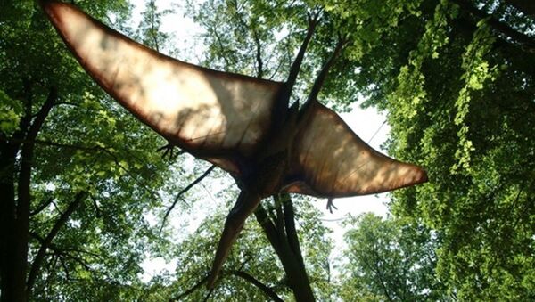 ABD'de yeni bir uçan dinozor türü keşfedildi - Sputnik Türkiye