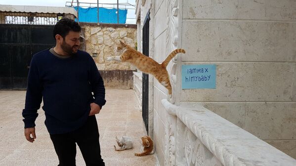 Suriyeli kedi sever - Sputnik Türkiye
