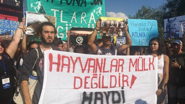 Büyükada'da fayton protestosu - Sputnik Türkiye