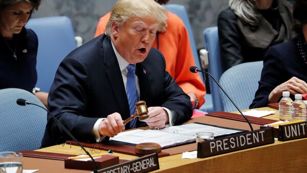 ABD Başkanı Donald Trump BM Güvenlik Konseyi'ne ilk kez başkanlık yaptı - Sputnik Türkiye