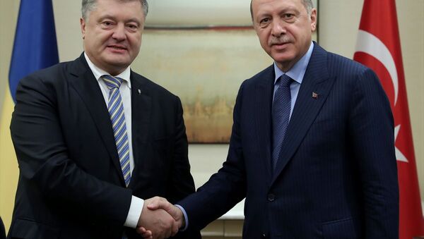Türkiye Cumhurbaşkanı Recep Tayyip Erdoğan ve Ukrayna Devlet Başkanı Petro Poroşenko - Sputnik Türkiye