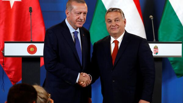 Budapeşte'de Erdoğan-Orban basın toplantısı - Sputnik Türkiye