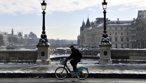 Paris'te bir bisikletli - Sputnik Türkiye