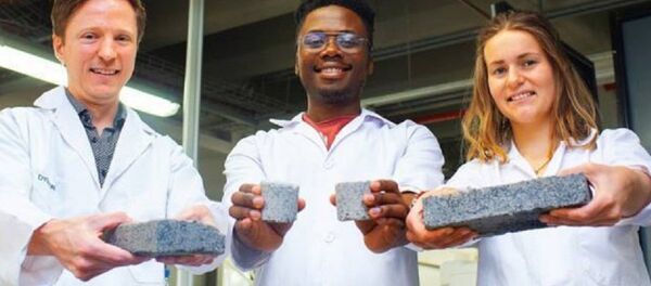 İnsan idrarı kullanılarak yapılan çevre dostu tuğla - Sputnik Türkiye