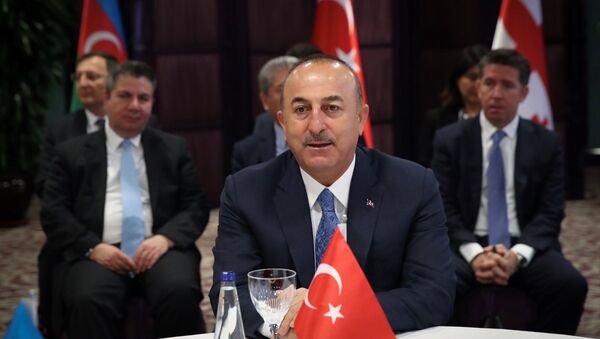 Mevlüt Çavuşoğlu - Sputnik Türkiye