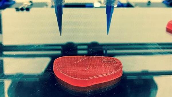 3D yazıcı - Üç boyutlu yazıcıyla basılmış yenebilir gıda maddeleri üretildi - Sputnik Türkiye
