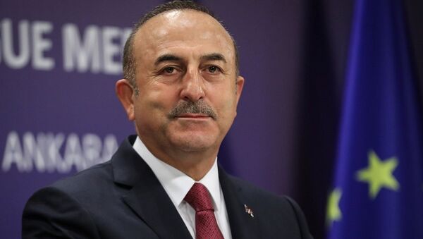 Mevlüt Çavuşoğlu - Sputnik Türkiye