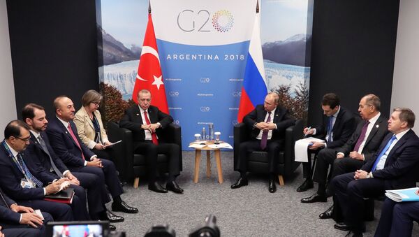 Rusya- Türkiye- G20 - Sputnik Türkiye