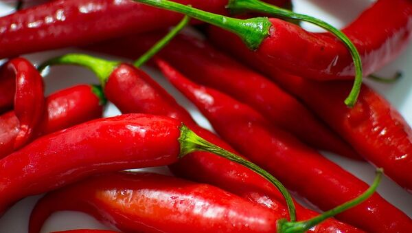 Red chili peppers - Sputnik Türkiye