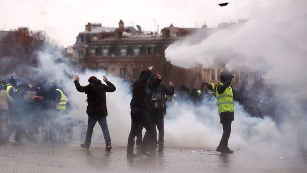 Sarı Yelekler Paris protestoları 9.hafta - Sputnik Türkiye