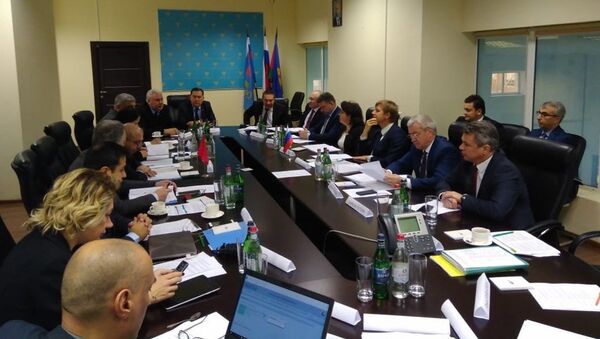 Rusya-Türkiye Uluslararası Karayolu Taşımacılığı Komisyonu toplantısından bir kare - Sputnik Türkiye