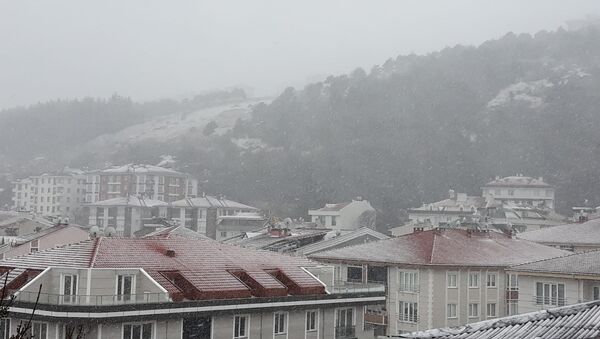Çatalca- Kar yağışı - Sputnik Türkiye