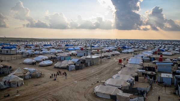 Suriye'nin kuzeyinde bulunan Al-Hol mülteci kampı - Sputnik Türkiye