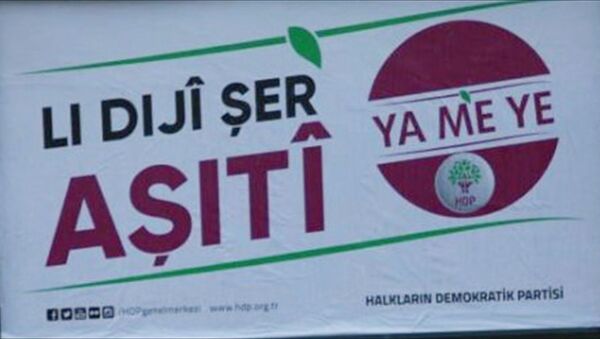 HDP'nin seçim afişleri toplatıldı - Sputnik Türkiye