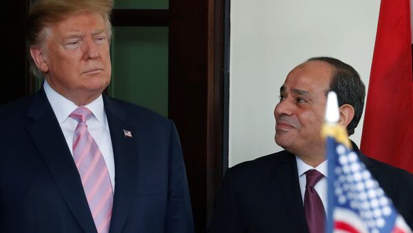 Sisi, Beyaz Saray'da Trump tarafından ağırlandı. - Sputnik Türkiye