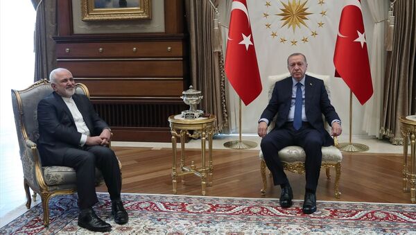 İran Dışişleri Bakanı Cevad Zarif, Cumhurbaşkanı Recep Tayyip Erdoğan ile bir araya geldi. - Sputnik Türkiye