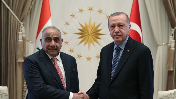 Cumhurbaşkanı Recep Tayyip Erdoğan - Irak Başbakanı Adil Abdulmehdi  - Sputnik Türkiye