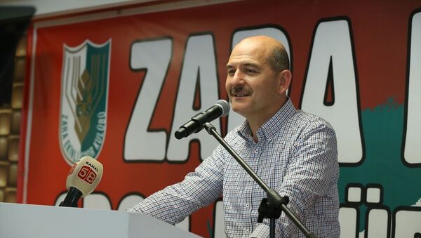 İçişleri Bakanı Süleyman Soylu - Sputnik Türkiye