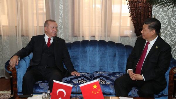 Çin Devlet Başkanı Şi Cinping, Cumhurbaşkanı Recep Tayyip Erdoğan - Sputnik Türkiye