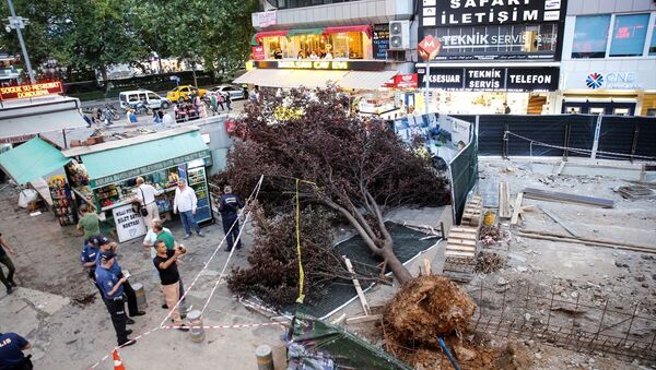 Ankara'da akşam saatlerinde etkili olan fırtınada devrilen ağaç 3 kişinin yaralanmasına neden oldu - Sputnik Türkiye