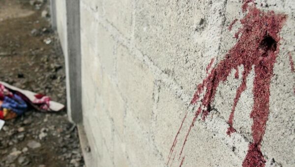 'Kolombiya'da çeteler, infaz ettikleri kişilerin cesetlerini domuzlara yedirdi' - Sputnik Türkiye
