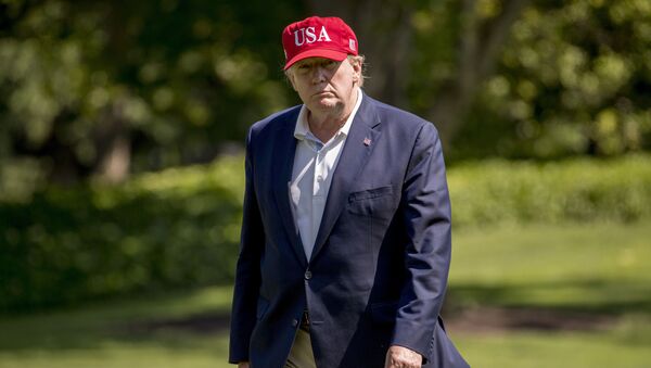 ABD Başkanı Donald Trump - Sputnik Türkiye