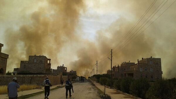 Mardin’in Nusaybin ilçesinde bulunan Bagok Dağı'nın 6 köyünün sakinleri yangının yaklaşması karşısında tahliye hazırlığına başladı. - Sputnik Türkiye