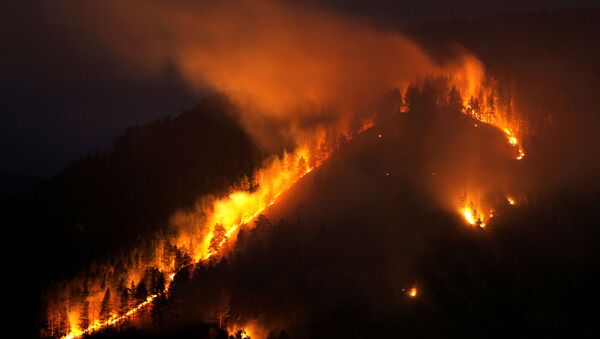 Rusya'nın Sibirya bölgesinde orman yangınları - Sputnik Türkiye