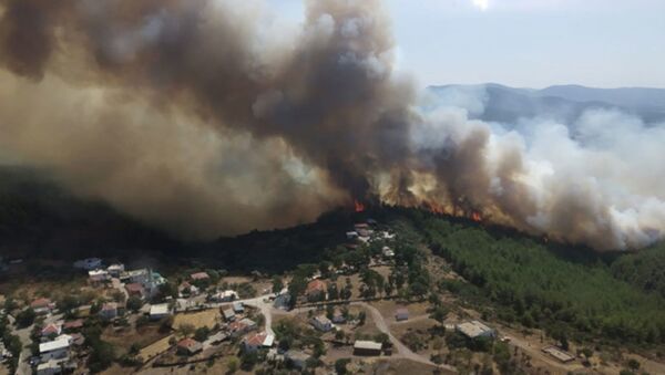 Bodrum ve Milas'ta orman yangını; alevler köylere ulaştı, evlerini terk ettiler - Sputnik Türkiye