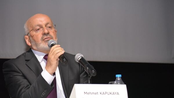 Mehmet Kapukaya - Sputnik Türkiye
