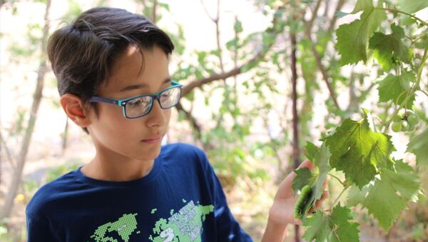 12 yaşındaki Mehmet Kanur, eğitim alarak belgeselci olmayı hedefliyor - Sputnik Türkiye